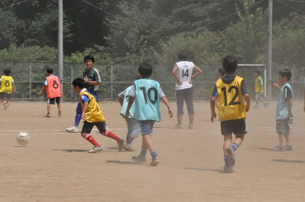 Photo_3