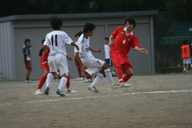 Photo_2