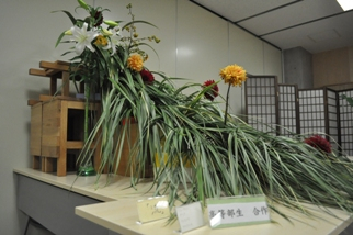 Photo_15
